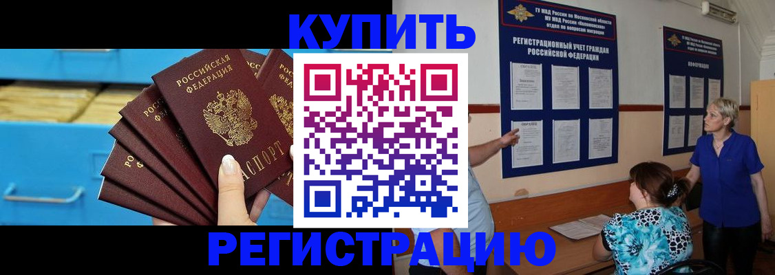 прописка гарантия в Стародубе